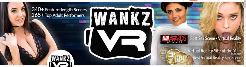 WankzVR collage