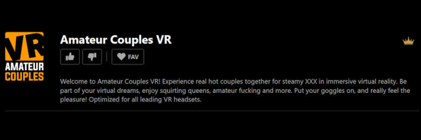 Amateur Couples VR review
