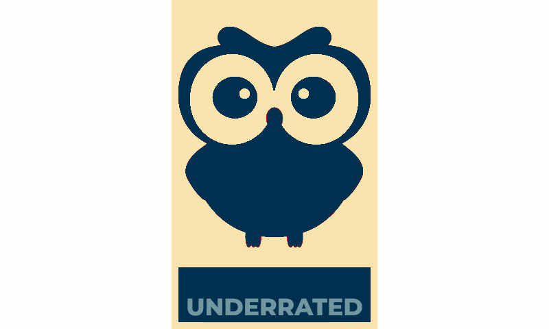 owl image says underrated beneath it