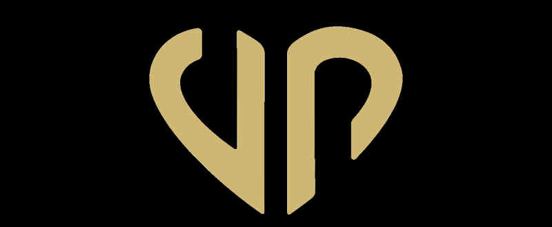 Virtual Papi logo