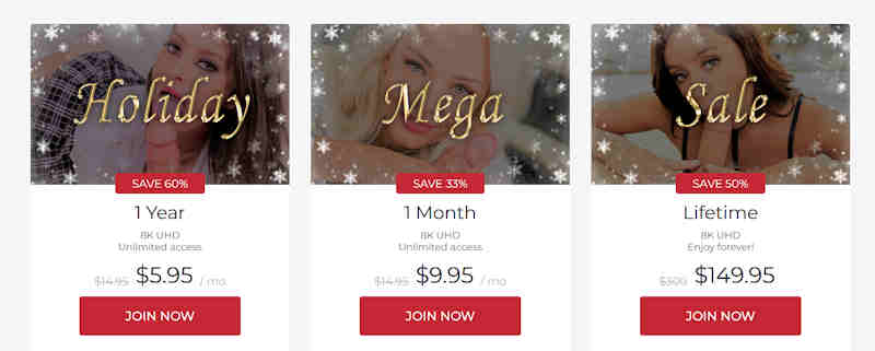 BlowVR.com holiday sale 2022